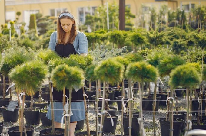 Tree Planters